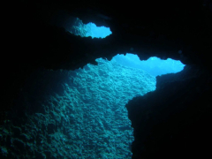 Daily Boat Trips - Amorgos Diving Center - SSI Scuba &diving ...