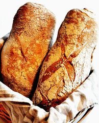 Love at first loaf... Rustic Italian Bread With Durum - Bread and ...