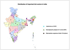 Pathogens |-Text | Hard Ticks as Vectors: The Emerging ...