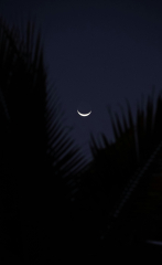 Crescent Moon