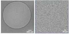 Pharmaceutics |-Text | Novel Adhesive Nanocarriers Based ...