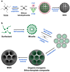 Pharmaceutics |-Text | Mesoporous Silica Nanoparticles ...