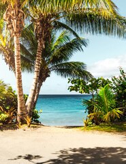 Puerto Rico (Romantic Puerto Rico Beach)