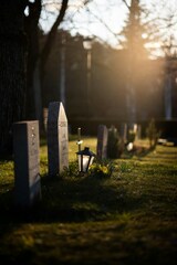 Graveyard | 51 best graveyard, grey, plant and building ...