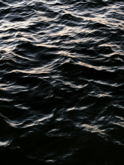 Best 500+ Dark Water | s on Unsplash