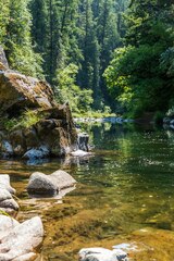 Green trees beside river during daytime photo – Water ...