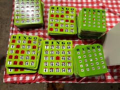 Regal Games Finger-Tip Shutter Slide Bingo Cards (Bingo Cards)