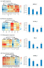 Plants |-Text | Transcription Factor Networks in Leaves ...