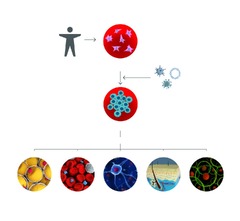 CRISPR Editing in Stem Cells: New Era in Regenerative Medicine