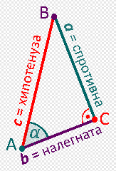 Triangle Trigonometry Logo Area, Angle, angle, text png | PNGEgg