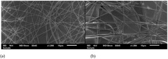 Polymers |-Text | Electrospun Nanomaterials Based on ...