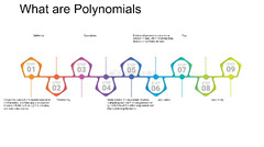 Polynomial: The Power of Polynomials: G24 and Beyond - FasterCapital