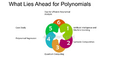 Polynomial: The Power of Polynomials: G24 and Beyond - FasterCapital