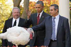 The turkey pardoning tradition may have started with a raccoon