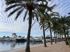 Diverse and Magical Mallorca Princess Yachts Mallorca