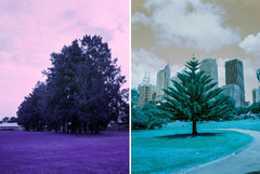 Lomochrome – Feeling the purple and turquoise - Photo Thinking