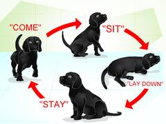 How to Raise a Dog (with ) - wikiHow