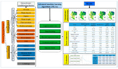 Advanced Machine Learning Algorithms