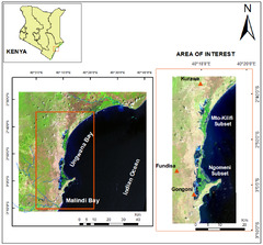 Remote Sensing |-Text | Application of Satellite ...