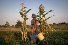 Climate change and disaster displacement | UNHCR US