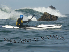 Sea Kayaking Microwave - Surfin' Tsunami Style - Tsunami Rangers