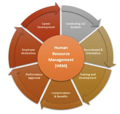 Human Resources (Human Resource Management)