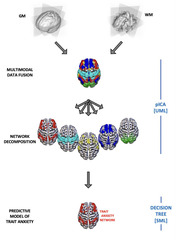 Sensors |-Text | Anxious Brains: A Combined Data Fusion ...