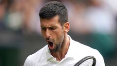 Wimbledon: Novak Djokovic grinds down Andrey Rublev to claim ...