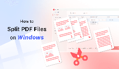 How to Split PDF on Windows [Easy Ways Shared]