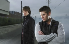 Supernatural (American drama series)Supernatural (Supernatural - Season 2) (Jensen Ackles)