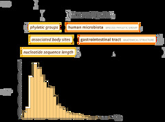 Wolfram Language and Mathematica