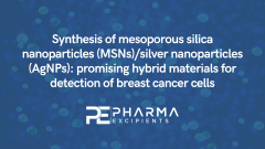 Mesoporous Silica Nanoparticles/Silver Nanoparticles