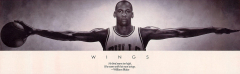 Michael Jordan s Wings - Cave