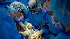 Doctors remove pig kidney from brain-dead man's body - Interesting ...