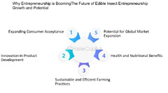 Efficient Farming Practices - FasterCapital