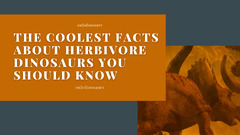 The Coolest Facts About Herbivore Dinosaurs You Should Know