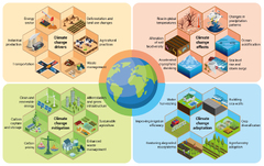 Carbon Capture and Storage