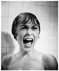 Janet Leigh (Janet Leigh Psycho Photo ) (Marion Crane)