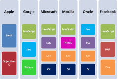 Coding Basics & Best Programming Language for Startups - Altitude ...