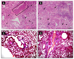 Toxins |-Text | Pathophysiological and Clinical ...