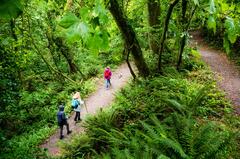 Great Welsh church walks | National Churches Trust