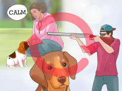 4 Ways to Train a Coon Dog - wikiHow