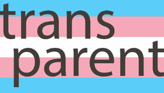 The positives and negatives of trans visibility