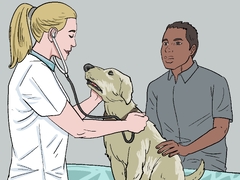 10 Ways to Treat a Panting Dog - wikiHow