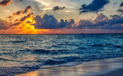 Beach Ocean Sunset Landscape Summer Wave Cloud