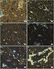 Composition, technology and provenance of Roman pottery from ...