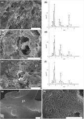 Composition, technology and provenance of Roman pottery from ...