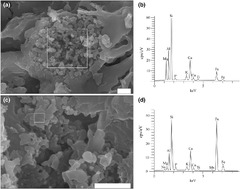 Composition, technology and provenance of Roman pottery from ...