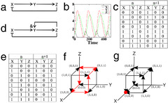 Boolean modelling in plant biology | Quantitative Plant Biology ...