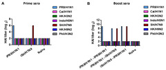 Heterologous Prime-Boost Vaccination with Inactivated Influenza ...